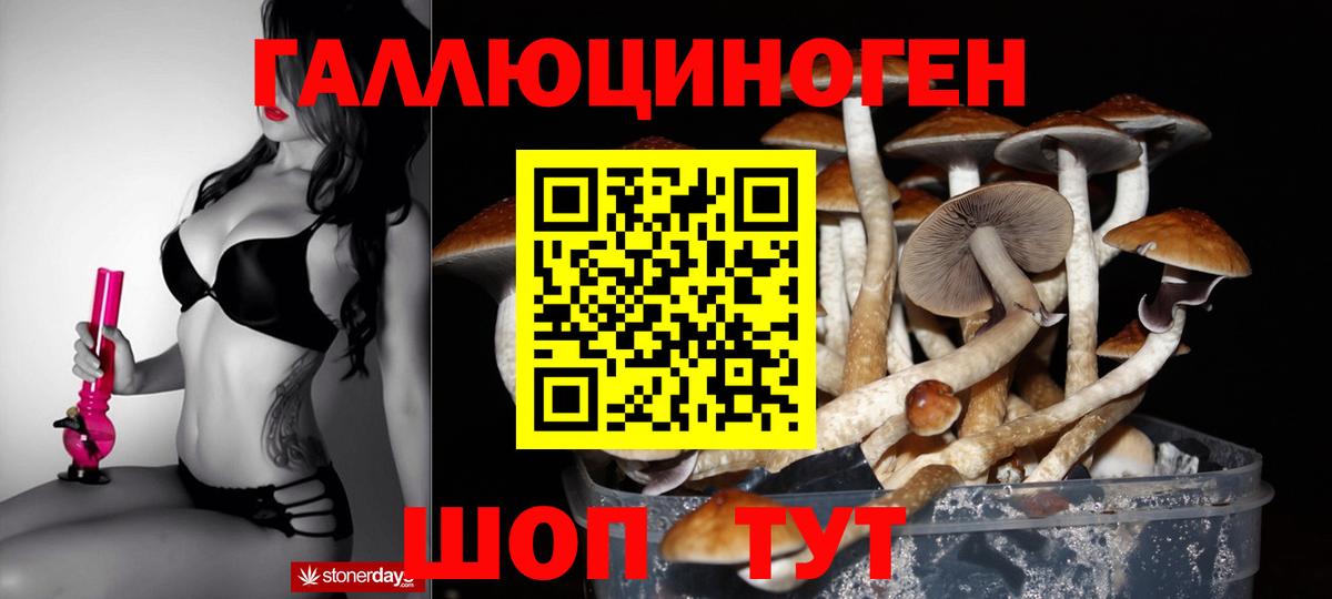 Воркута  Галлюциногенные грибы Psilocybine cubensis  Вход с VPN 